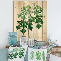 East Urban Home Vintage Green Leaves Plants II - Traditional Print On Natural Pine Wood