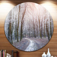 Made in Canada - Design Art 'Misty Trail in Autumn Forest' Photographic Print on Metal