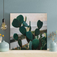 Foundry Select Green Cactus Plant In Close Up Photography 35 - 1 Piece Square Graphic Art Print On Wrapped Canvas