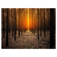 Design Art Halloween-Themed Spooky Dark Forest - Wrapped Canvas Photograph Print