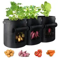 Arlmont & Co. Nicho Composite Pot Planter Set