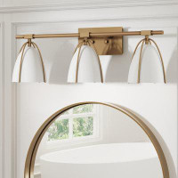 Latitude Run® 3-Lights Bathroom Vanity Light Fixture With Metal Frame And Cage Shade