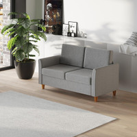 double sofa 55.5" W x 27.6" D x 30.7" H Light Grey
