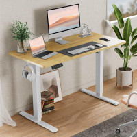 Inbox Zero Standing Desk, Stand Up Desk, 40 X 24In Electric Standing Desk Adjustable Height, Sit To Stand Desk Ergonomic