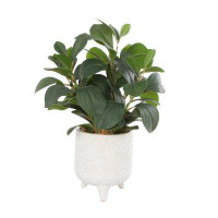 Freeport Park® Iniguez 14.15'' Faux Foliage Plant in Ceramic Pot
