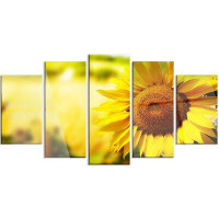Design Art 'Beautiful Tuscany Sunflower' 5 Piece Photographic Print on Metal Set