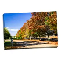 Charlton Home 'Plantation Road' Photographic Print on Wrapped Canvas