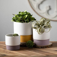 Ebern Designs 6", 5" & 4.25" Ceramic 3-Color Planter Set of 3