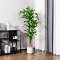 Primrue Adcock Artificial Dracaena Tree in White Planter, Lifelike Fake Plant for Indoor and Outdoor Décor