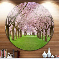 Design Art 'Stunning Cherry Blossoms Plenitude' Photographic Print on Metal
