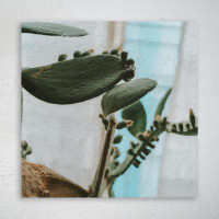 Foundry Select Green Cactus Plant In Close Up Photography 11 - 1 Piece Square Graphic Art Print On Wrapped Canvas