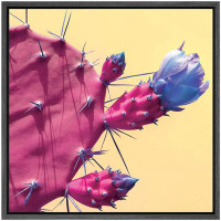 wall26 Pink Prickly Pear Cactus with Blue Flower Floral Plants Photography Southwest Closeup Colorful
