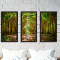 Picture Perfect International 'Walkway Lane Path' - 3 Piece Picture Frame Photographic Print Set