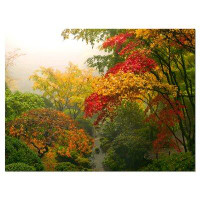 Design Art Colourful Maple Trees Floral Photographic Print on Wrapped Canvas