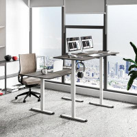 Ebern Designs Ebern Designs 55'' Electric Standing Desk Height Adjustable Home Office Table W/ Hook Grey