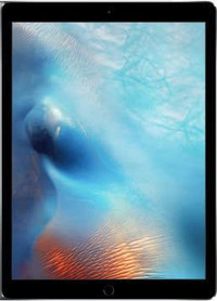 iPad Pro - 12.9 256 GB Unlocked -- Let our customer service amaze you