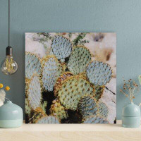 Foundry Select Green Cactus Plants 22 - 1 Piece Square Graphic Art Print On Wrapped Canvas