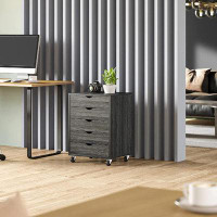 Paracity 5-Drawer Mobile Vertical Filing Cabinet
