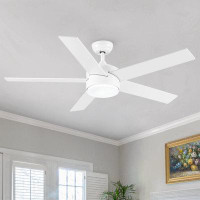 Wenty 52 In. Integrated LED Light Ceiling Fan With White ABS Blade