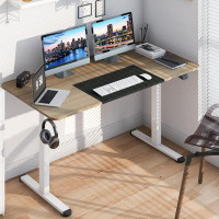 The Twillery Co. Ilwell 55'' W Height Adjustable Rectangle Standing Desk