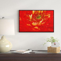 East Urban Home 'Bright Red Close Up Flower Petals' Framed Photographic Print on Wrapped Canvas