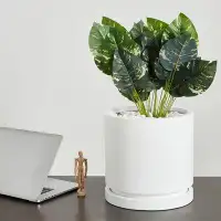 Ebern Designs Finnly Pot Planter