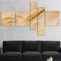 East Urban Home 'Cereal Plants Barley' Photographic Print Multi-Piece Image on Canvas