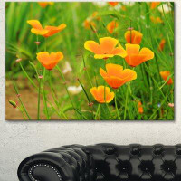 Made in Canada - Design Art 'Bright Yellow Poppy Flowers' Photographic Print on Wrapped Canvas
