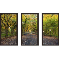 Made in Canada - Picture Perfect International "Through the Trees" - Photograph Print Multi-Piece Image on Plastic