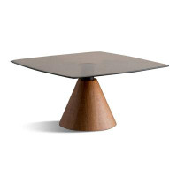 Corrigan Studio 29.53" Walnut Glass+Manufactured Wood Square Coffee Table