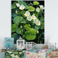 Winston Porter Meticulously Bellflower Plants - Plants Canvas Prints