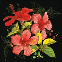 Bayou Breeze Hibiscus Flower