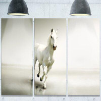 Made in Canada - Design Art 'Beautiful White Horse Running' 3 Piece Photographic Print on Metal Set