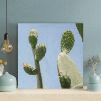 Foundry Select Green Cactus Plant 2 - 1 Piece Square Graphic Art Print On Wrapped Canvas