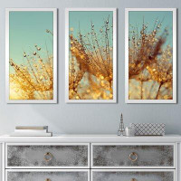 Made in Canada - Picture Perfect International 'Dewy Dandelion Flower at Sunrise Close Up' 3 Piece Framed Graphic Art Se