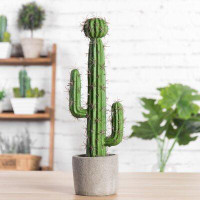 Foundry Select 14" Artificial Cactus Succulent in Pot
