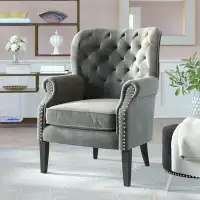 Willa Arlo™ Interiors Korin Wide Tufted Velvet Wingback Chair