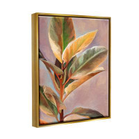Stupell Industries House Plant On Canvas by Amy Hall Painting