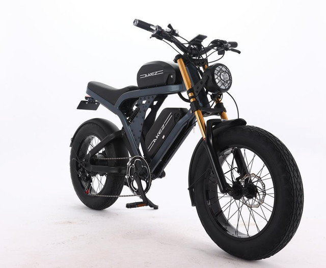 NEW 7 SPEED OFF ROAD ELECTRIC BIKE 48V 41AH 115506 in Other Parts & Accessories in Manitoba - Image 3