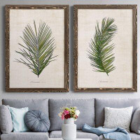 Gracie Oaks Palm Botanical I - 2 Piece Picture Frame Print Set on Canvas