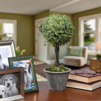 Ophelia & Co. 18" Artificial Boxwood Topiary in Planter