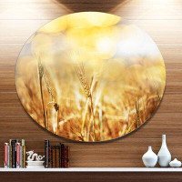 Design Art 'Brown Wheat Plants in Field' Photographic Print on Metal