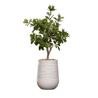 Vintage Home 44.08" Artificial Tung Tree in Planter