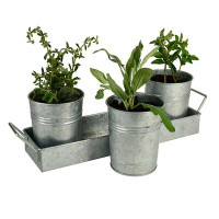 Gracie Oaks Galvanized Set of Three Planters With Tray, Grey