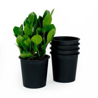 Ebern Designs 6.3" Round Nursery Plant Pot - Garden Plastic Pots With Drainage (5-Pack)