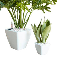 Ebern Designs Masaji 2-Piece Pot Planter Set