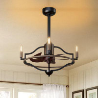 HELYIVLE Vintage Black Caged Farmhouse Ceiling Fan with Remote Control and Lighting Kit Not Included