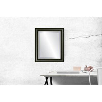 Breakwater Bay Goulet Framed Rectangle Accent Mirror