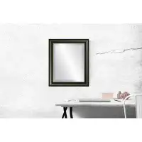 Breakwater Bay Goulet Framed Rectangle Accent Mirror
