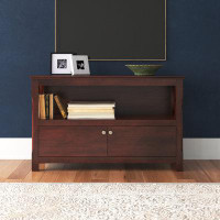 Three Posts Aiyana TV Stand for TVs up to 48"